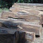 corte de madeira