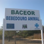 bebedouro baceor